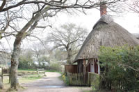 Beaulieu and Bucklers Hard