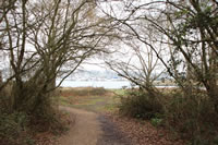 The Hamble