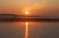 Newtown Creek