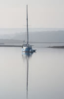 Newtown Creek