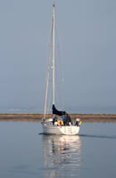 Newtown Creek