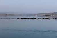 Newtown Creek
