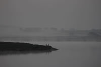 Newtown Creek
