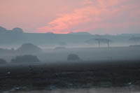 Newtown Creek