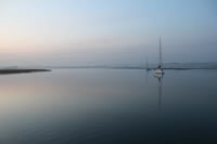 Newtown Creek