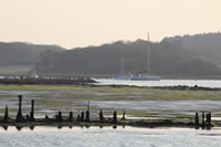 Newtown Creek